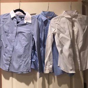 Three classic non-iron fitted button Down shirts